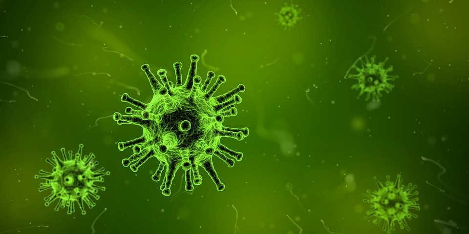 zelené viry